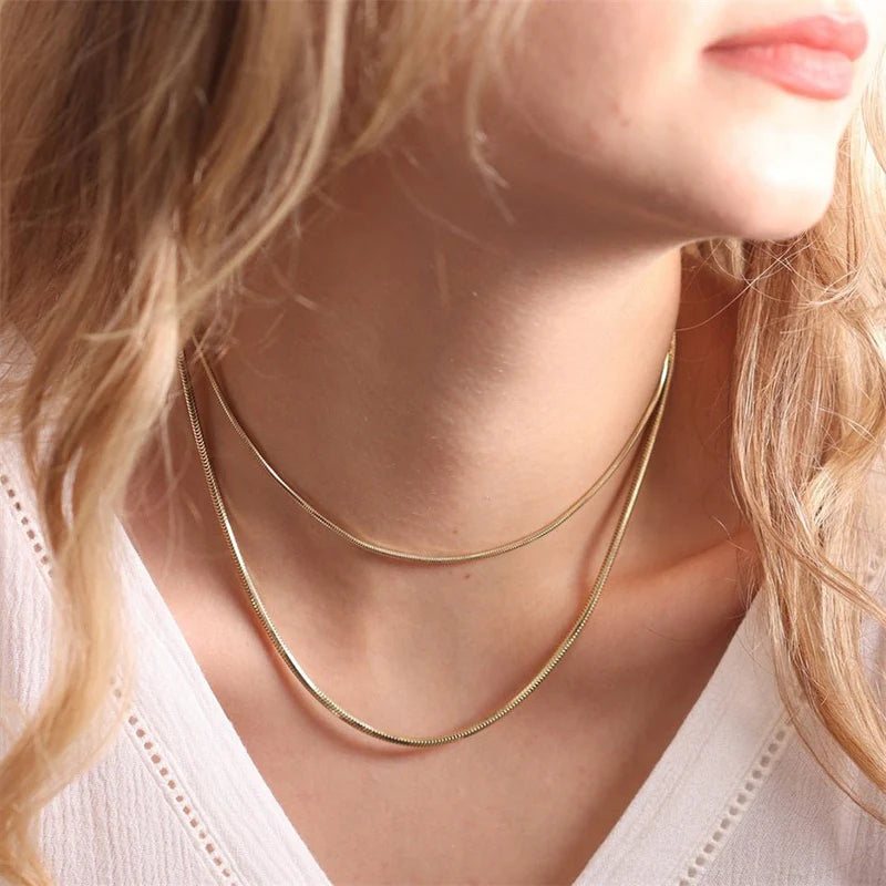 Stainless Steel Chain